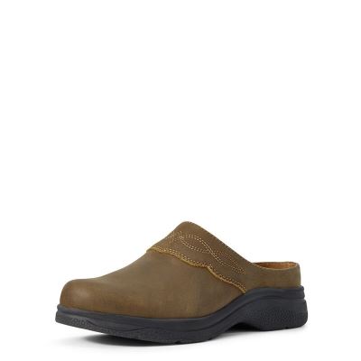 Mules Buty Damskie Ariat Bridgeport Mule Oliwkowe | PL-759717